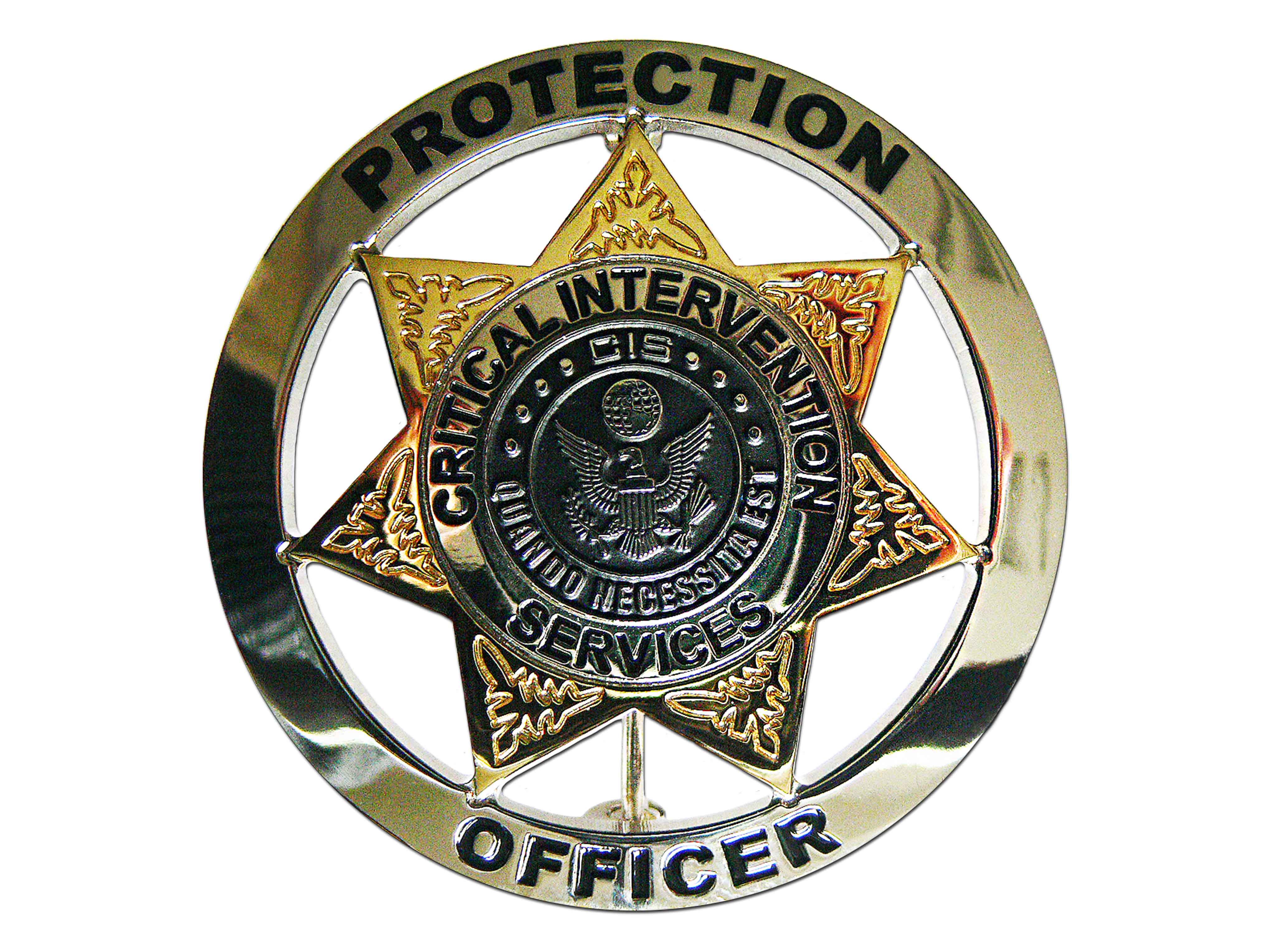 Critical Intervention Services Officer Critical Intervention Services Officer